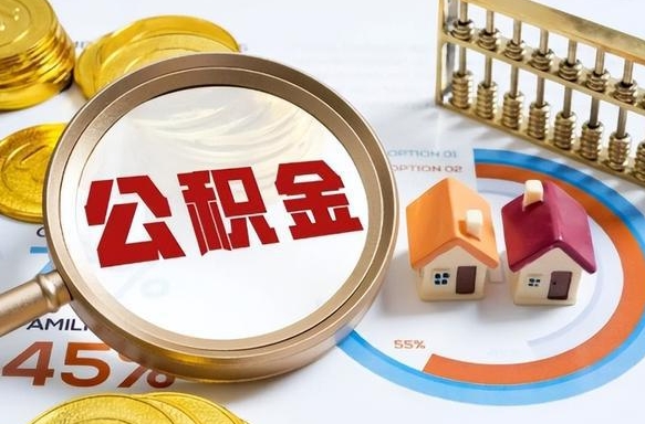 漯河个人公积金提取（2021住房公积金个人怎么提取）